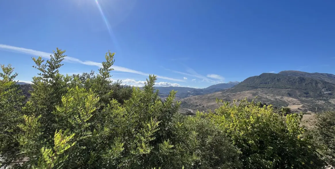 Продажа  жилого участка в Ronda 9