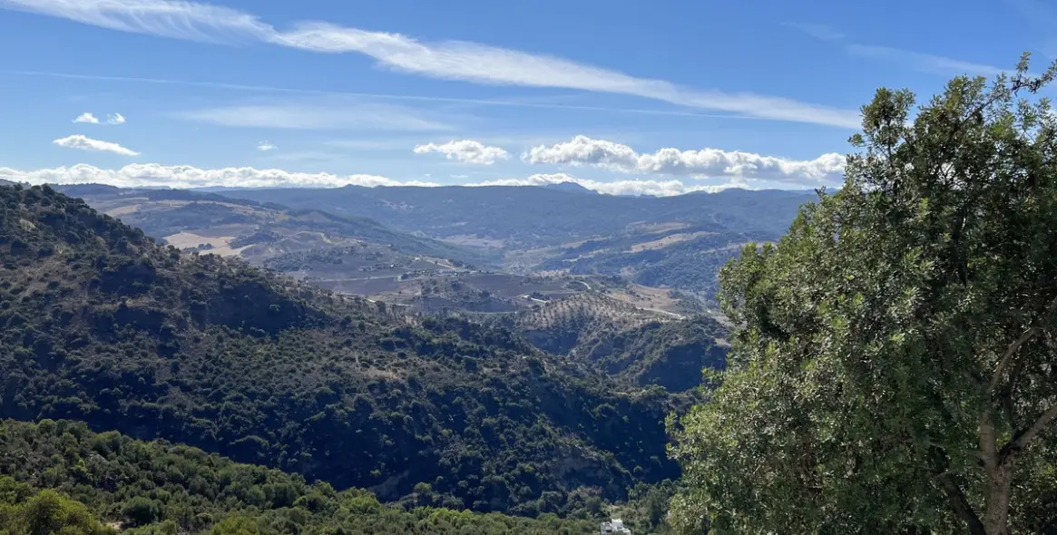 Продажа  жилого участка в Ronda 10