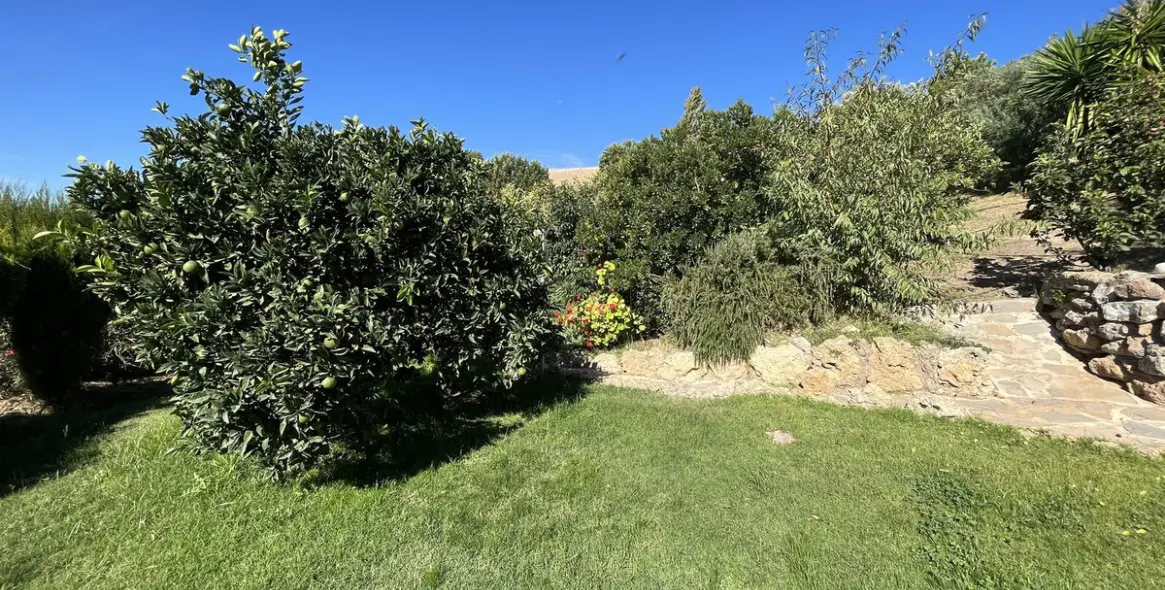 Продажа  жилого участка в Ronda 20