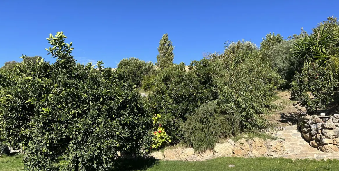 Продажа  жилого участка в Ronda 21