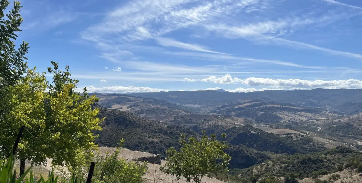 Продажа  жилого участка в Ronda 22