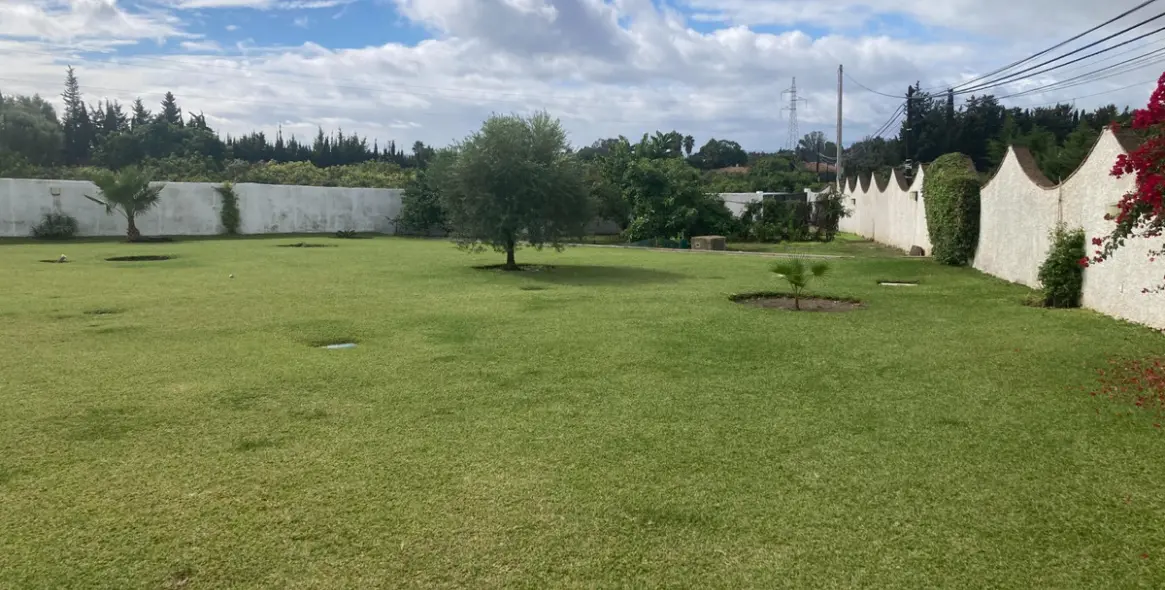 Sale of detached villa in Selwo 4