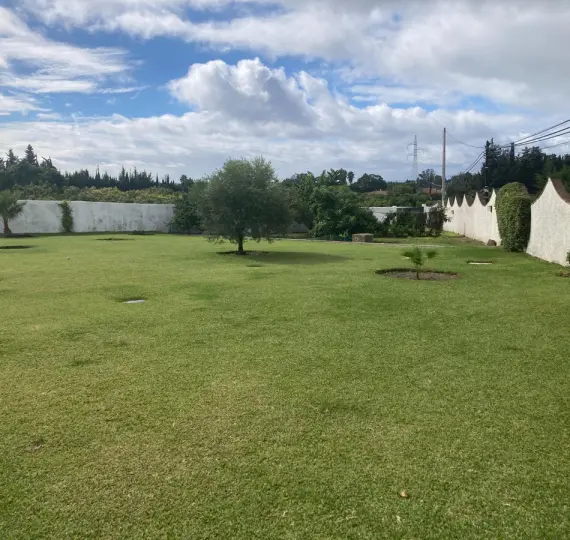 Sale of detached villa in Selwo