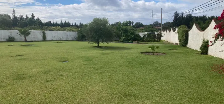 Sale of detached villa in Selwo 3