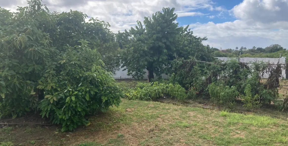 Sale of detached villa in Selwo 7