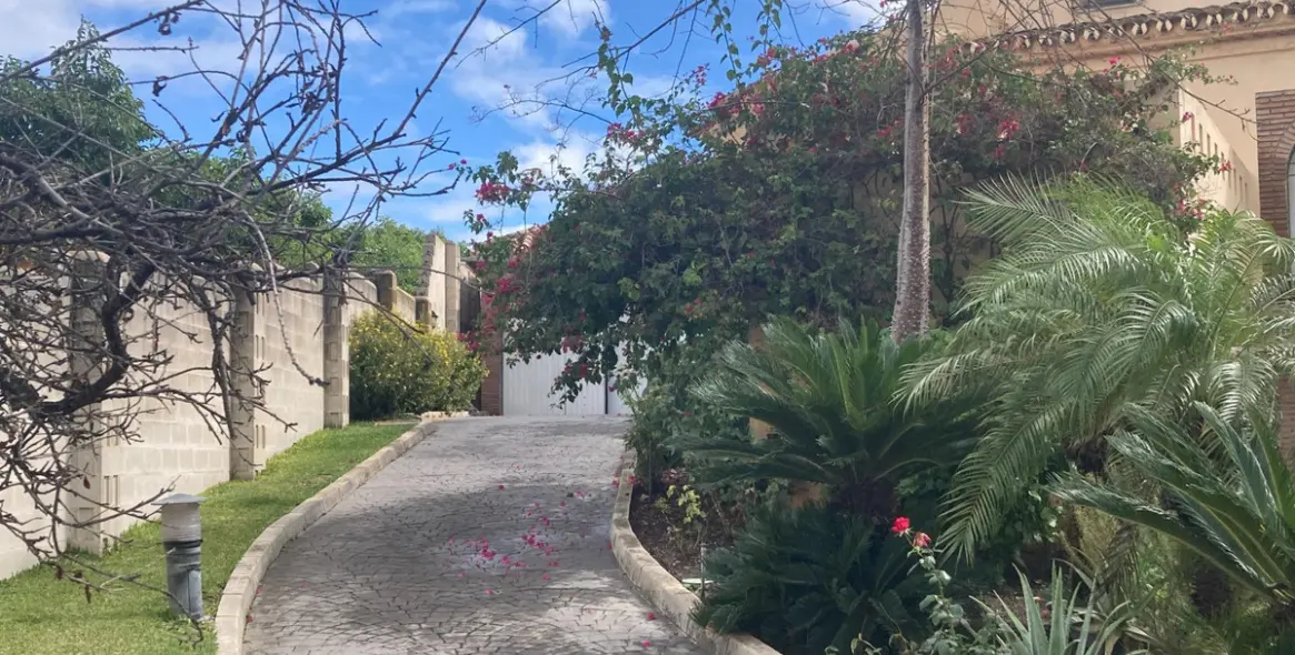 Sale of detached villa in Selwo 14