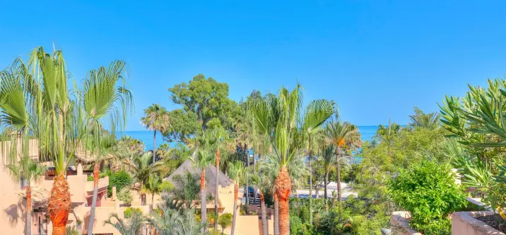 Venta de ático en San Pedro de Alcántara 1