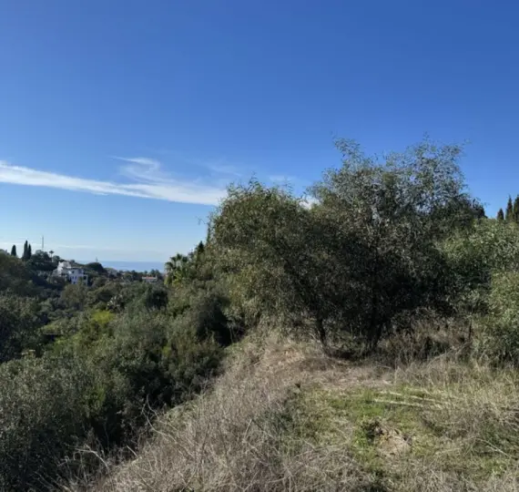 Venta de villa independiente en Elviria