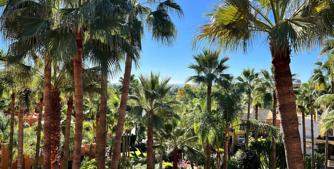 Long-term rent of penthouse duplex in Nueva Andalucía 23