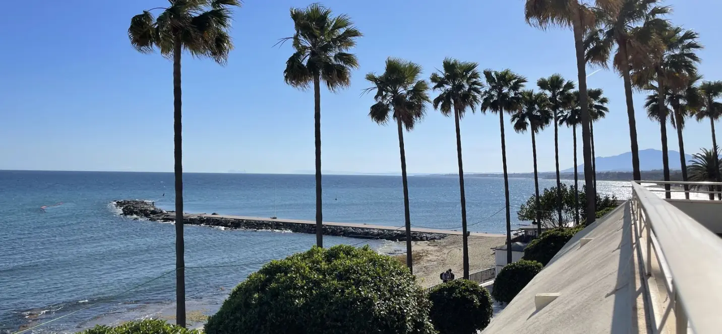 Продажа пентхауса в Marbella 1