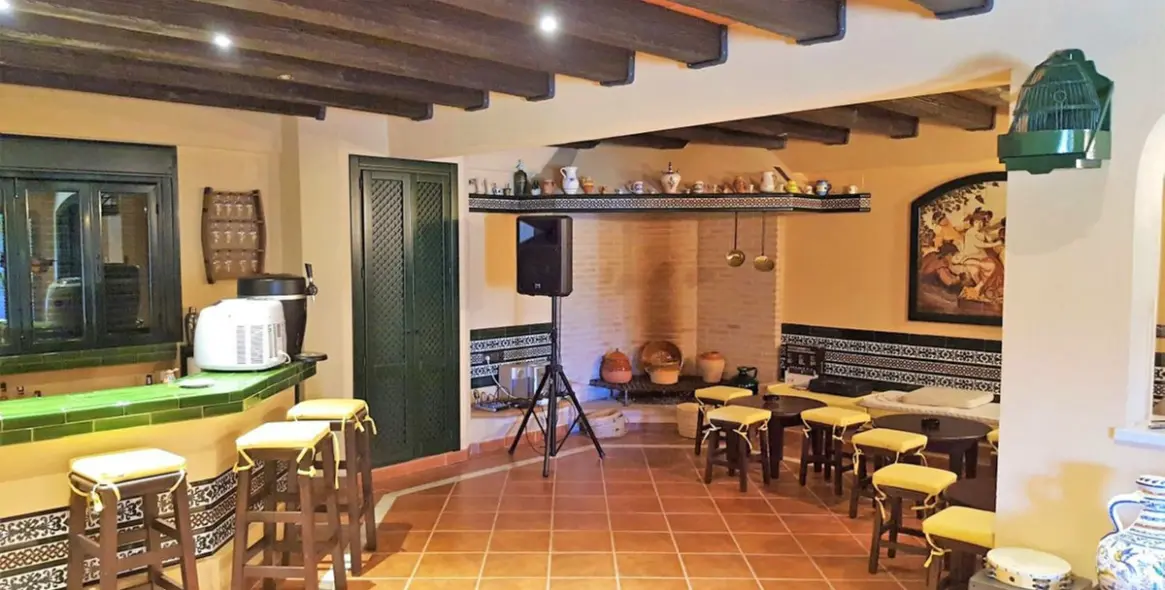 Sale of detached villa in Estepona 21