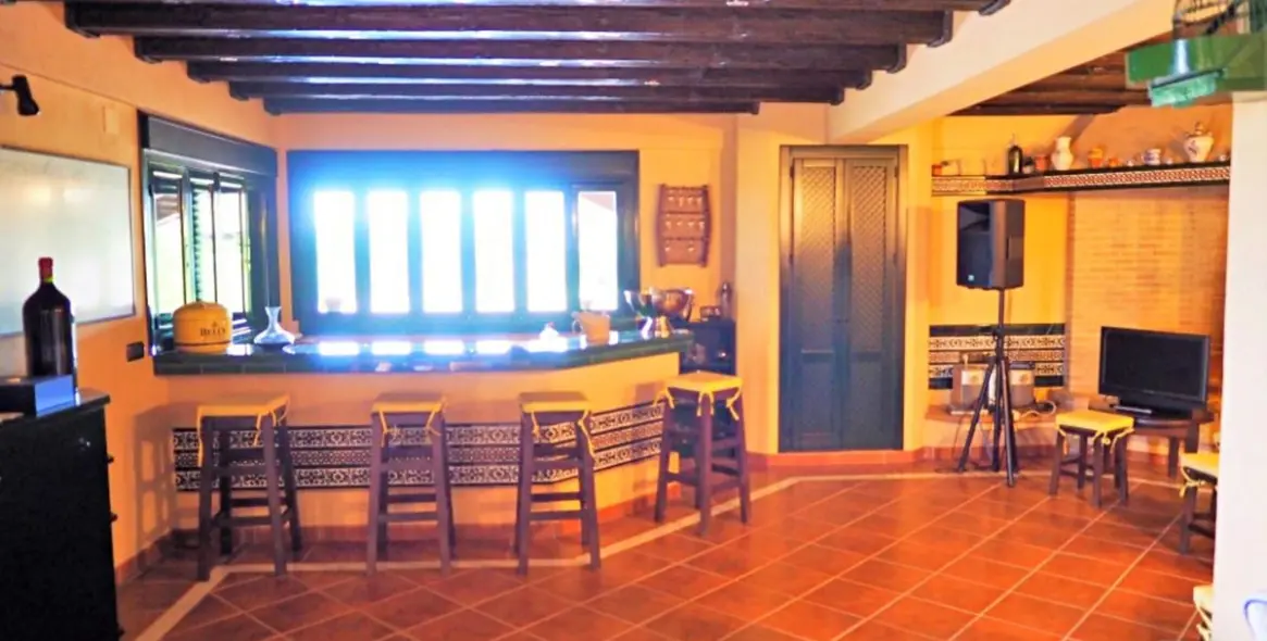 Sale of detached villa in Estepona 22