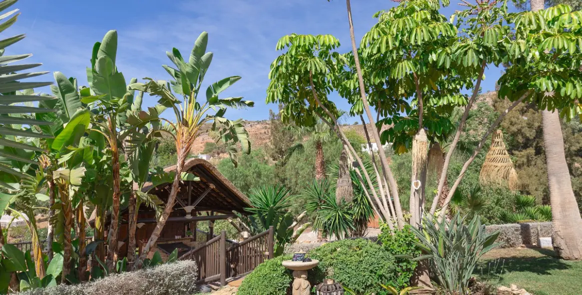 Sale of finca - cortijo in Malaga (district Provincia de Málaga) 8