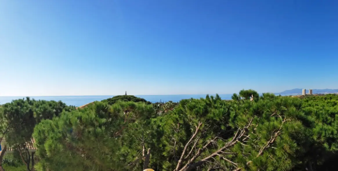 Продажа  отдельно стоящей виллы в Marbesa 13