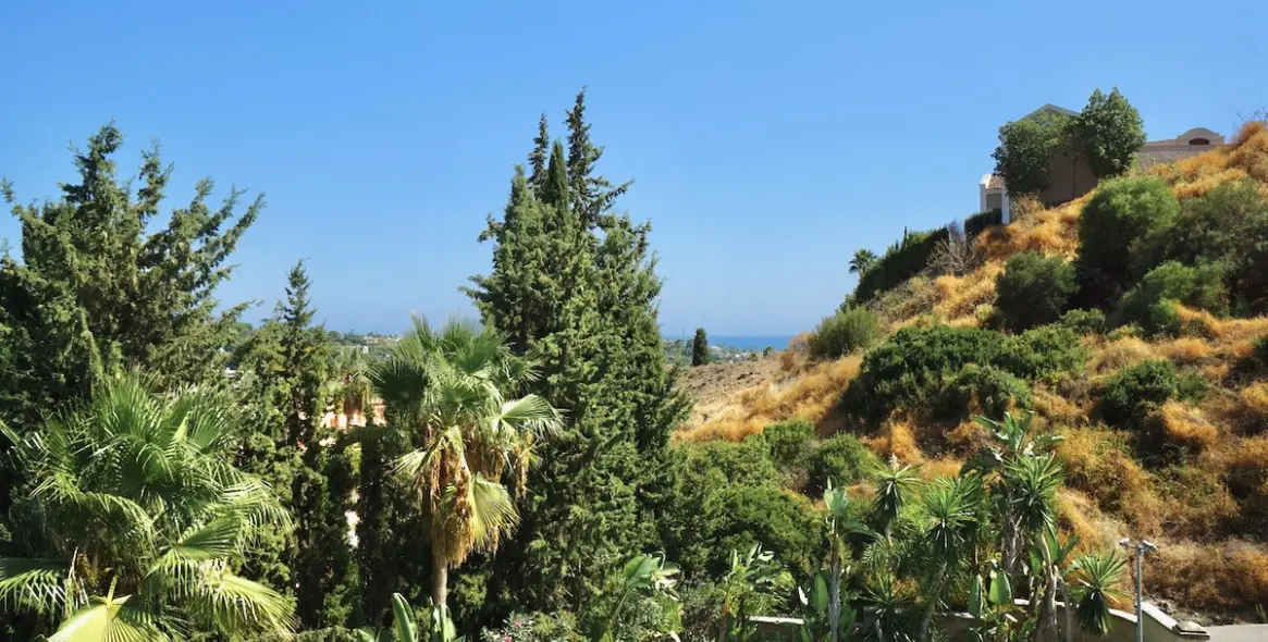 Sale of detached villa in Benahavís 47