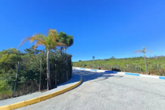Image 6 thumb