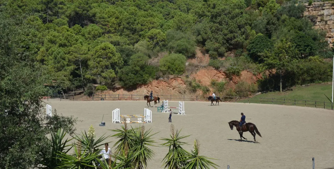 Sale of detached villa in Benahavís 5