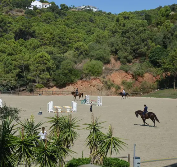 Sale of detached villa in Benahavís