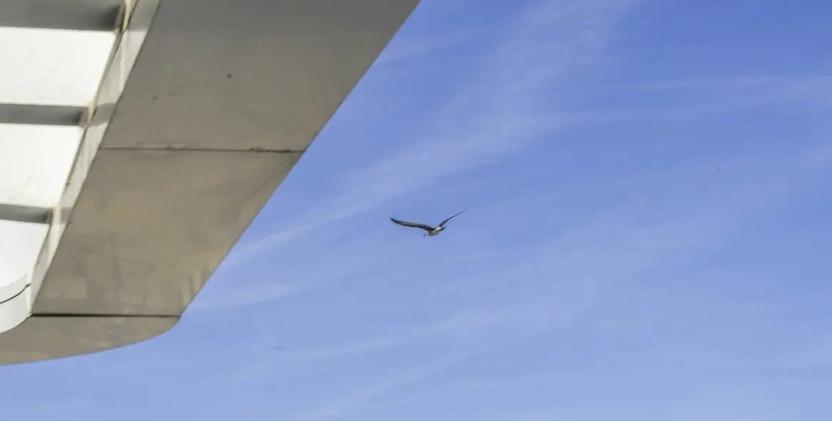 Sale of penthouse in Los Alamos 63