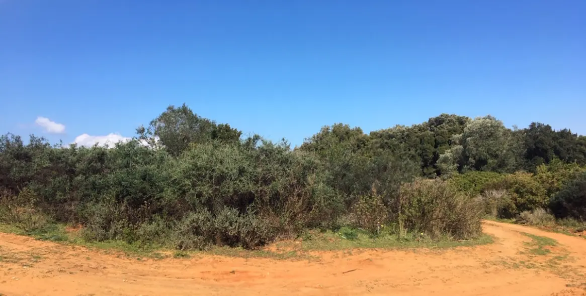 Venta de parcela residencial en Manilva (distrito Manilva) 1