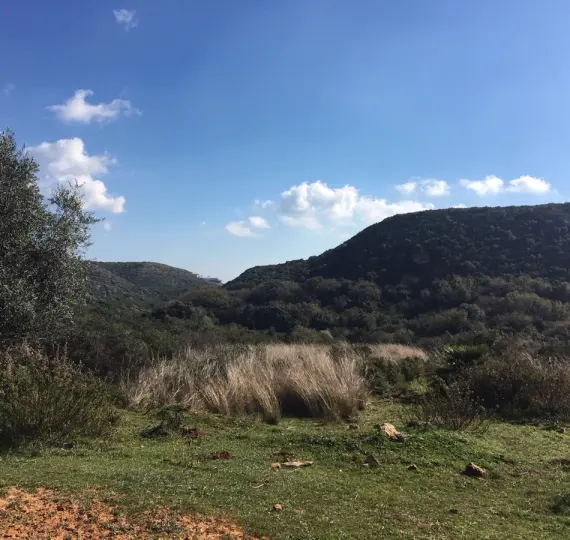 Parcela residencial R3568339