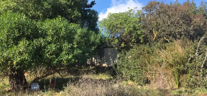 Parcela residencial R3568339 3