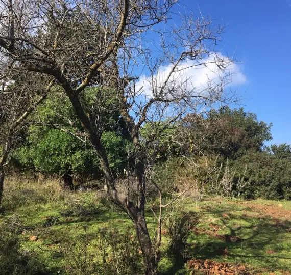 Parcela residencial R3568339