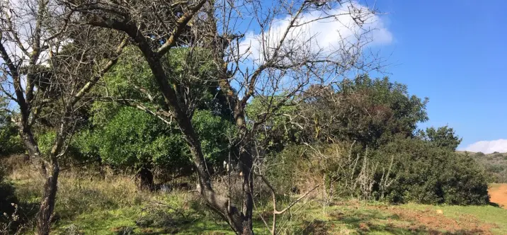 Parcela residencial R3568339 4