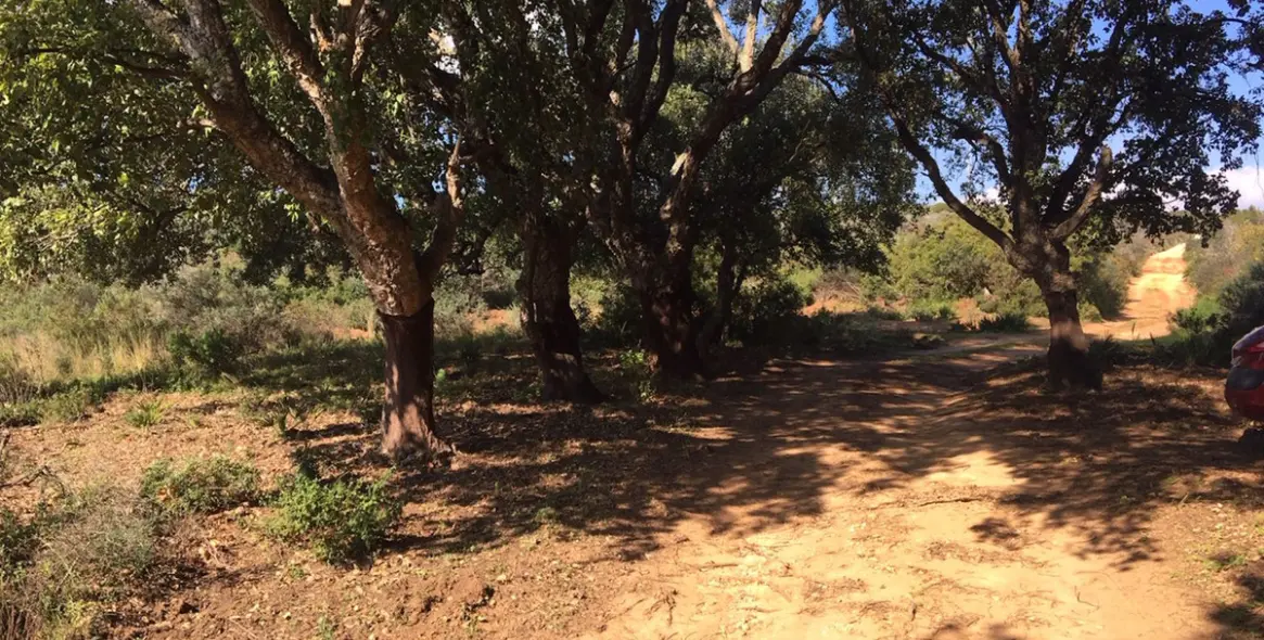 Venta de parcela residencial en Manilva (distrito Manilva) 7