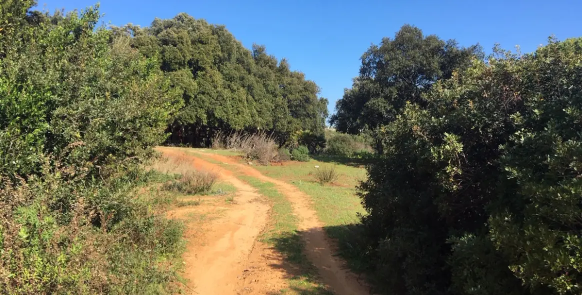 Продажа  жилого участка в Manilva 14