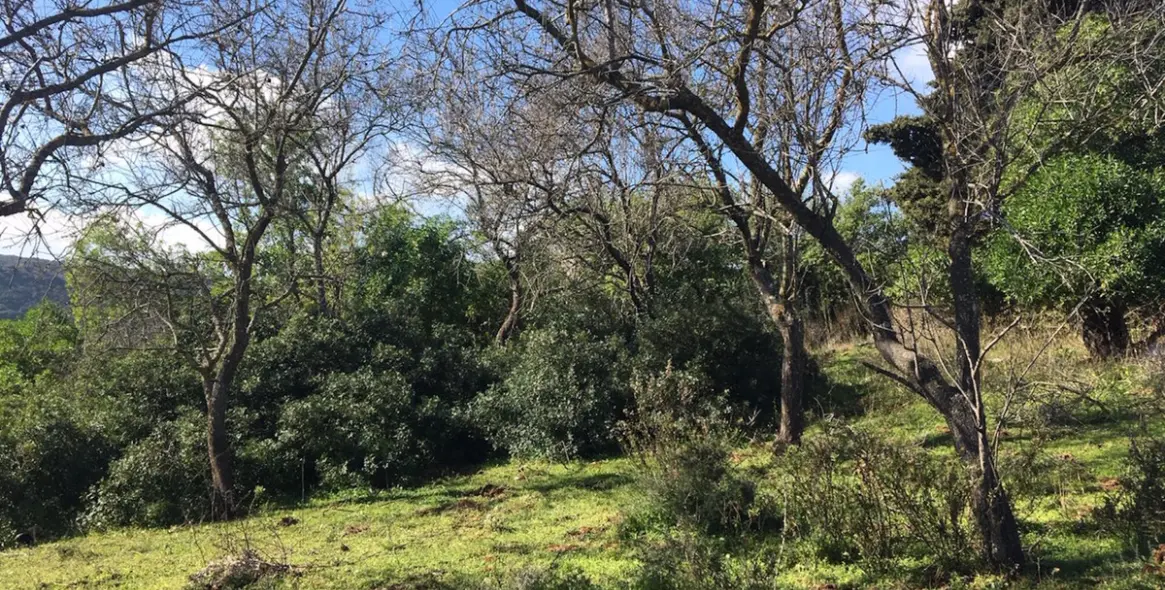 Продажа  жилого участка в Manilva 16