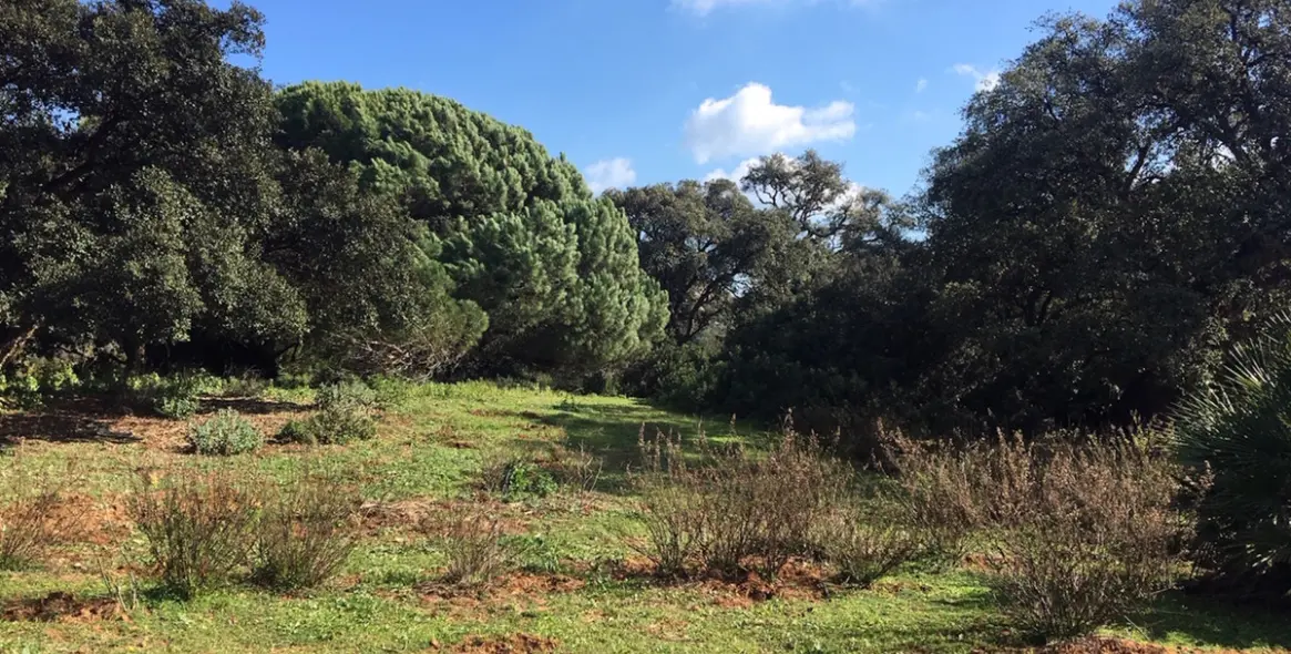 Продажа  жилого участка в Manilva 17