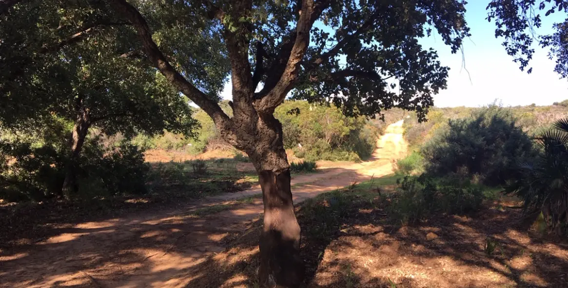 Продажа  жилого участка в Manilva 18