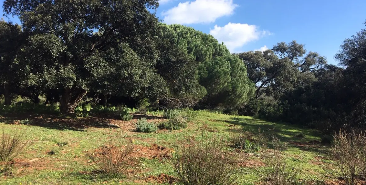 Продажа  жилого участка в Manilva 19