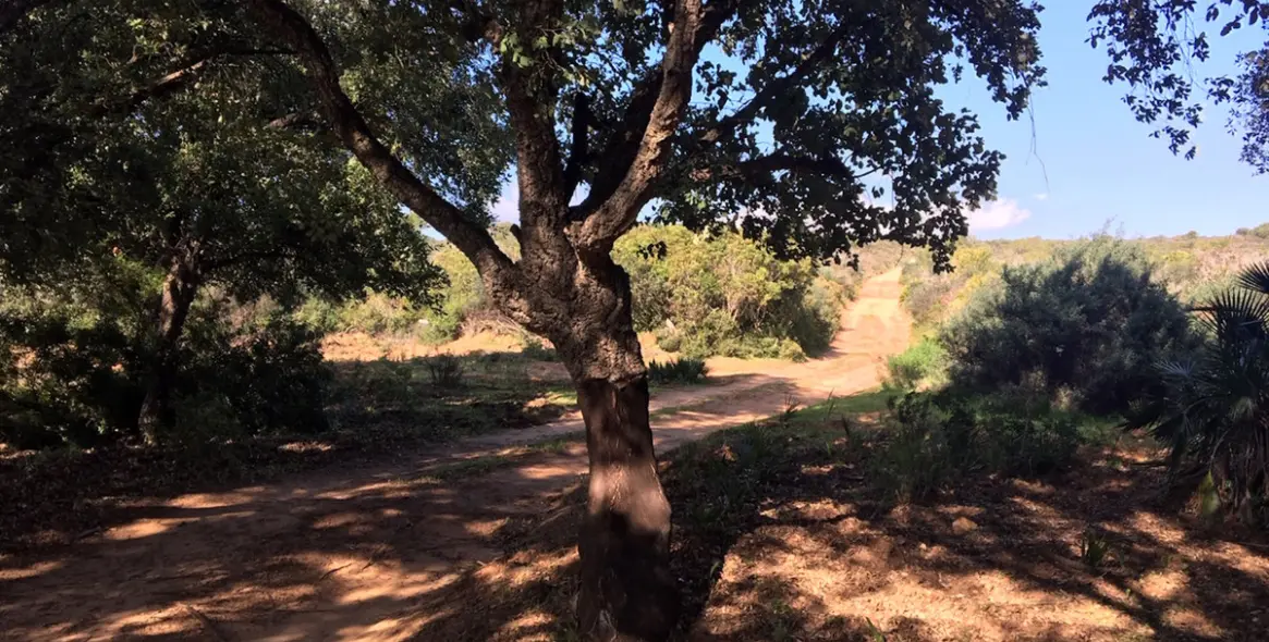 Продажа  жилого участка в Manilva 20