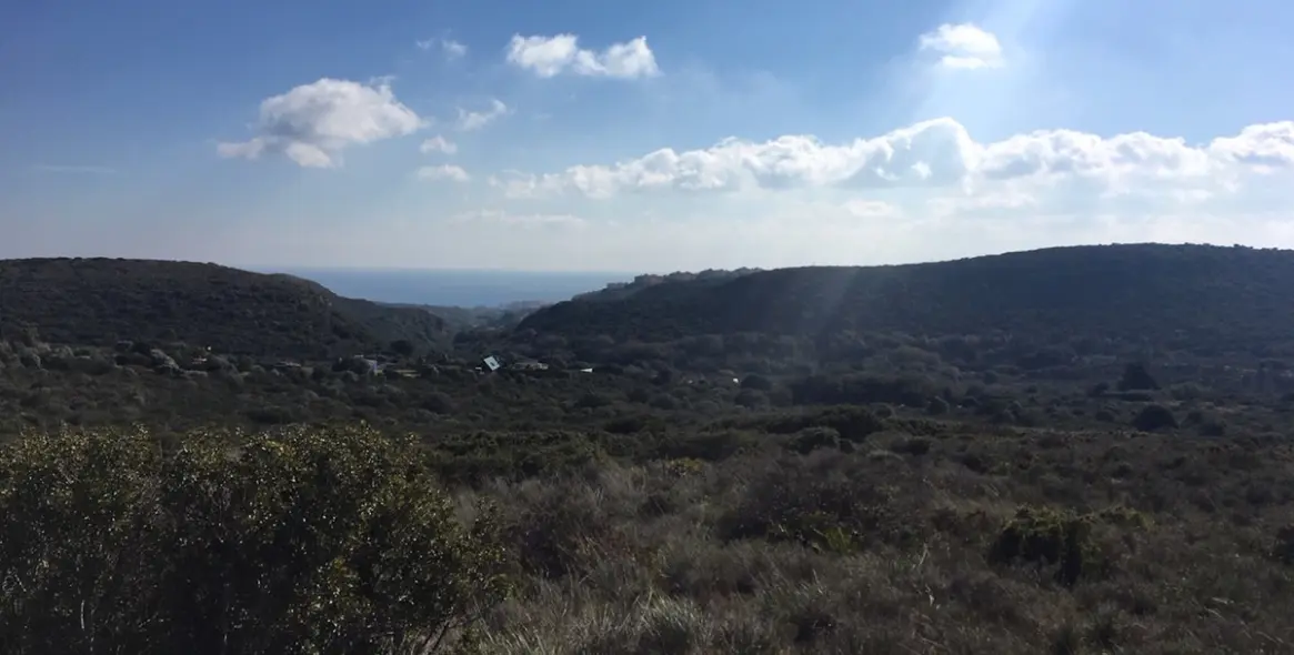 Sale of residential plot in Manilva 21