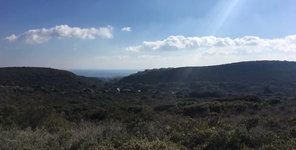 Sale of residential plot in Manilva 23