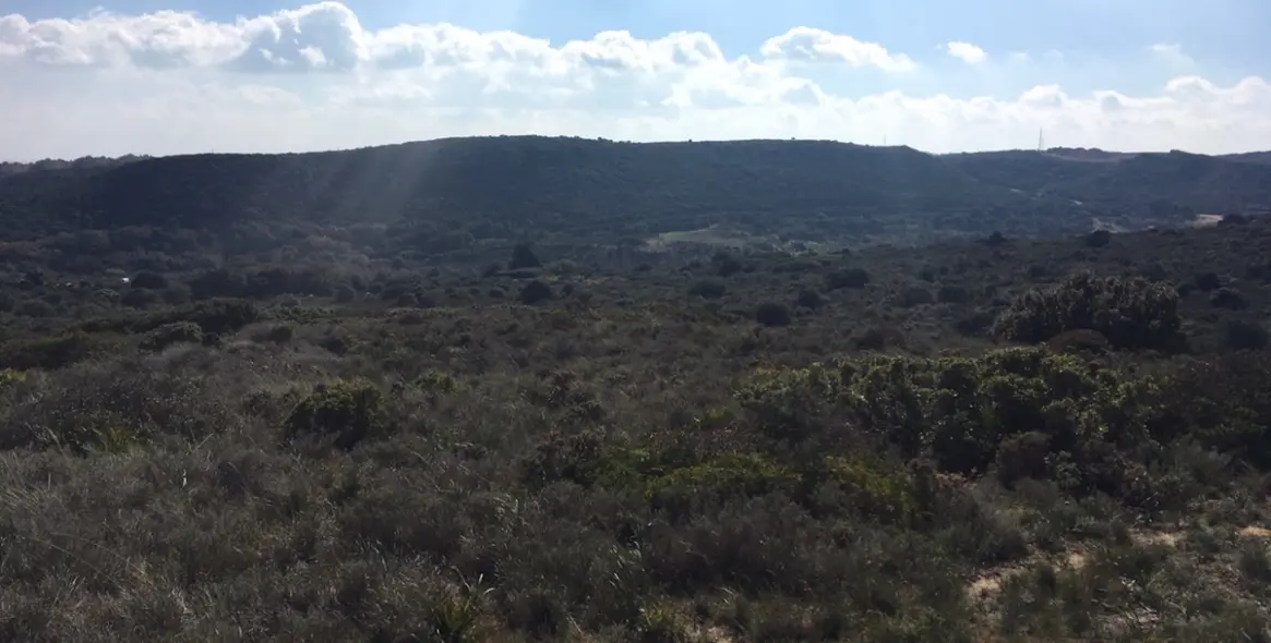 Sale of residential plot in Manilva 24