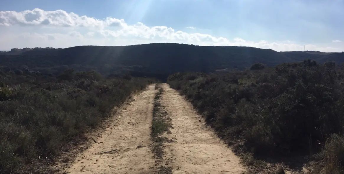 Sale of residential plot in Manilva 25