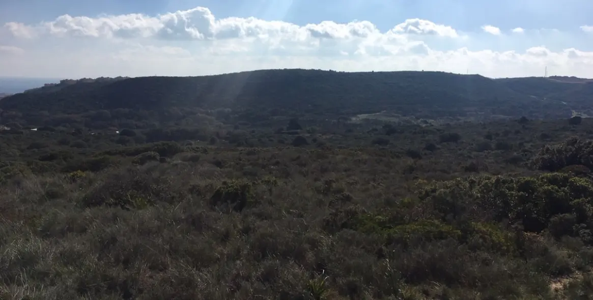 Sale of residential plot in Manilva 26