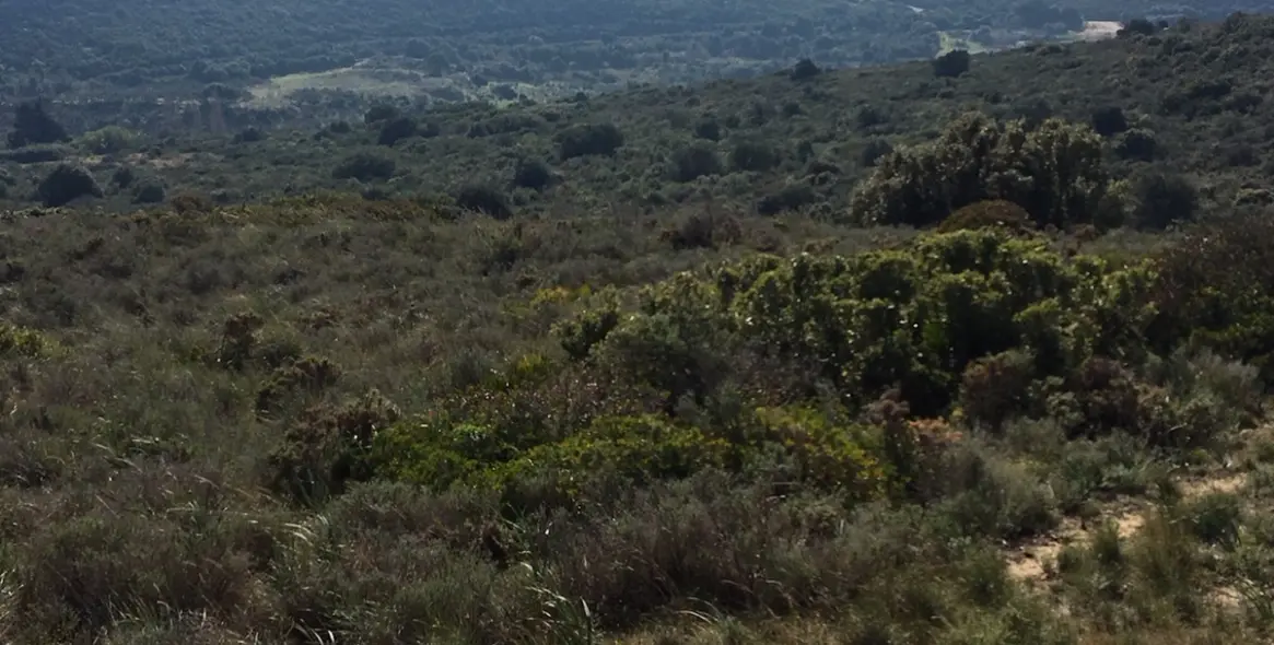 Sale of residential plot in Manilva 27