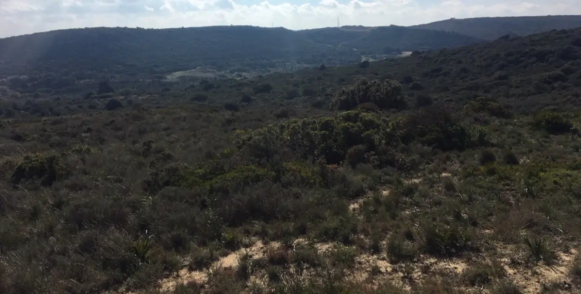 Sale of residential plot in Manilva 28