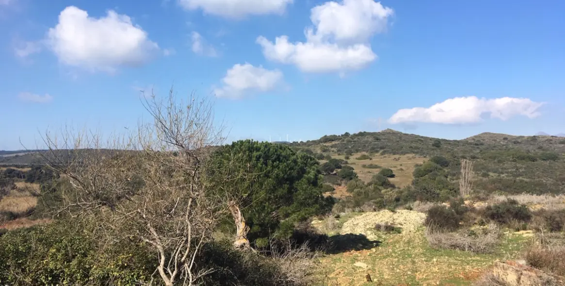 Sale of residential plot in Manilva 29