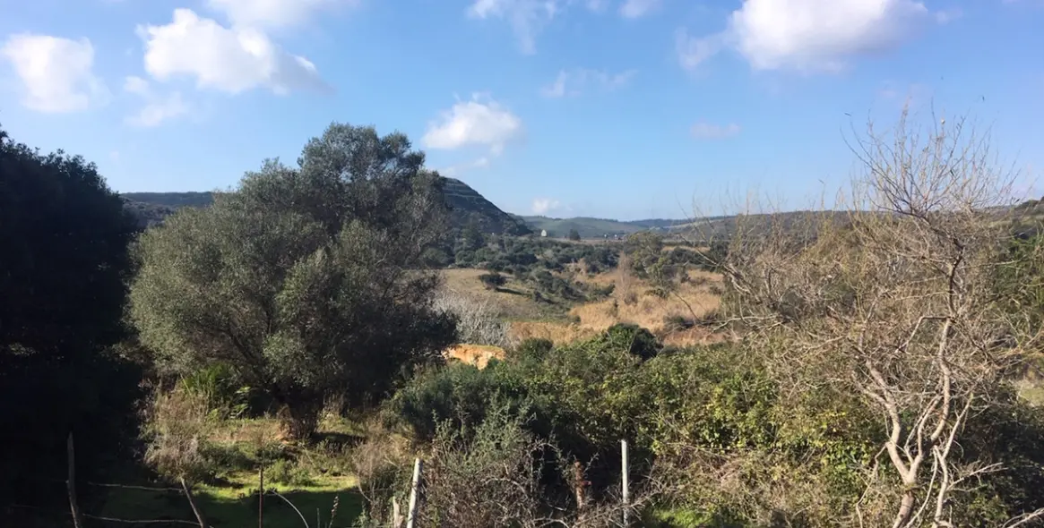 Sale of residential plot in Manilva 31