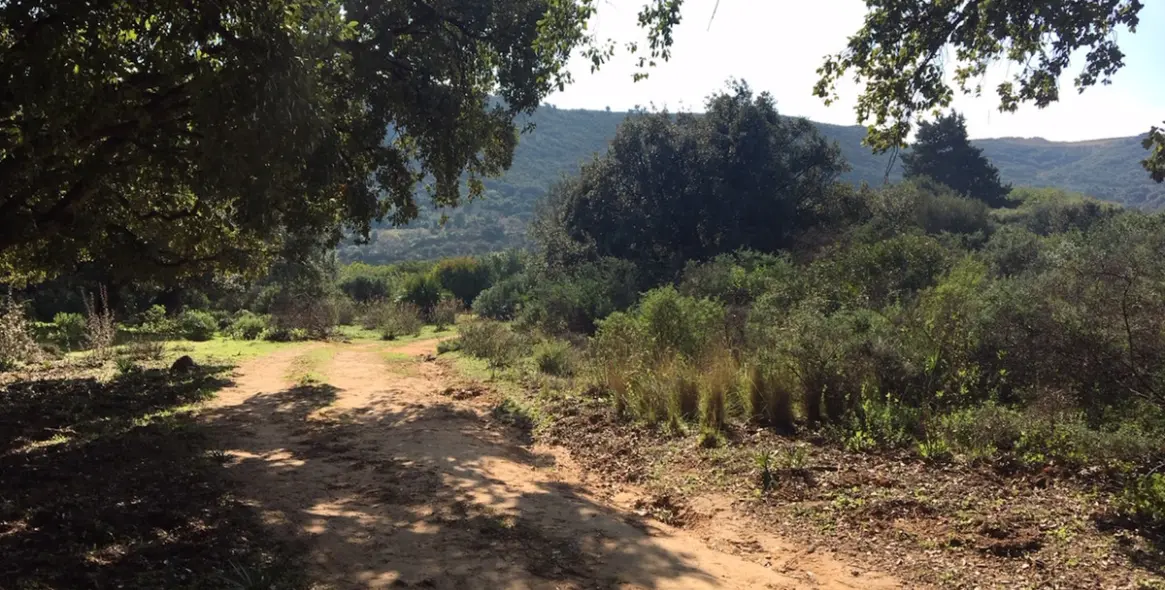 Sale of residential plot in Manilva 32