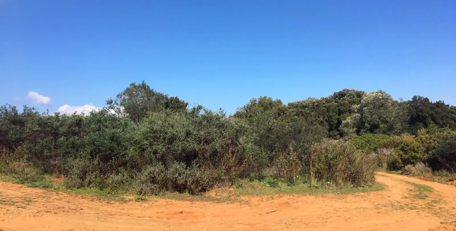 Sale of residential plot in Manilva 1