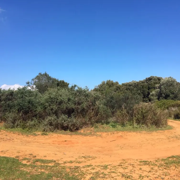 Sale of residential plot in Manilva