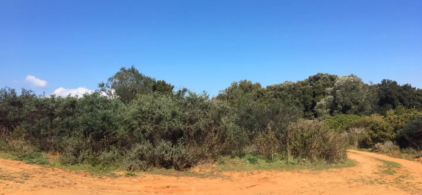 Sale of residential plot in Manilva 0