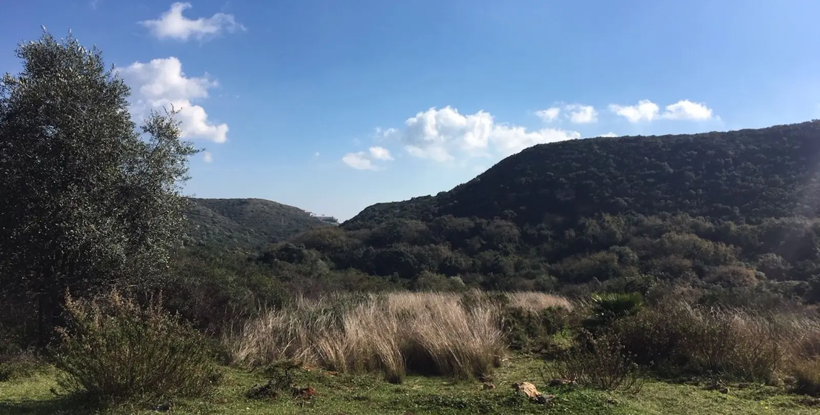 Sale of residential plot in Manilva 3