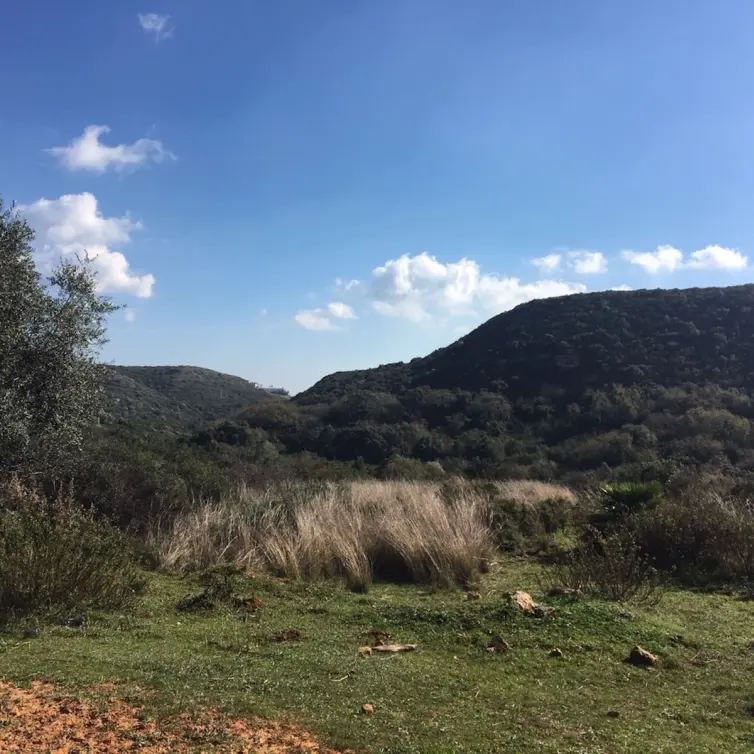 Sale of residential plot in Manilva